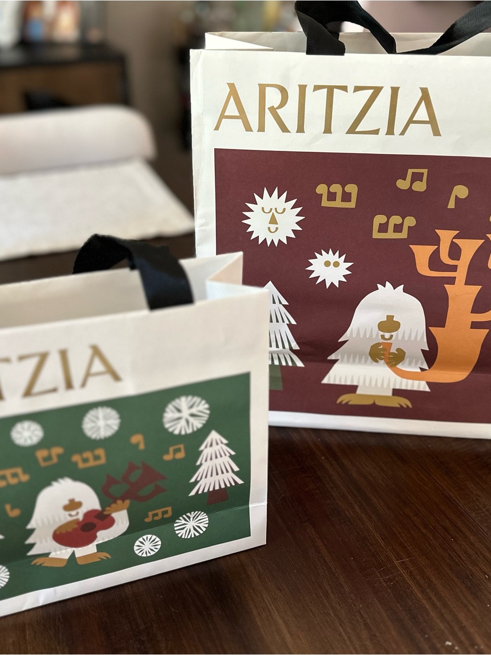 Aritzia Holiday Graphic Gift Bags in Cream, Forest Green & Burgundy